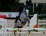 Cancogni Berlin's Pride GioCav2013 S5 1048 : Berlin's Pride, Campionati Italiani Giovani Cavalli, Cancogni Daniele, Cattolica, ph Stefano Secchi ©